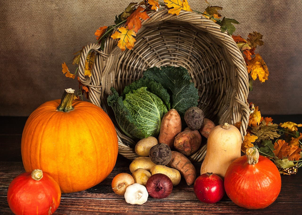 Celebrating Thanksgiving at Muze Office: Thanksgiving Business Ideas